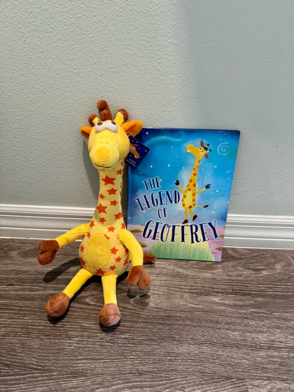 The Legend of Geoffrey 17 in Giraffe Plush Stuffed Animal Toys R Us Book Bundle